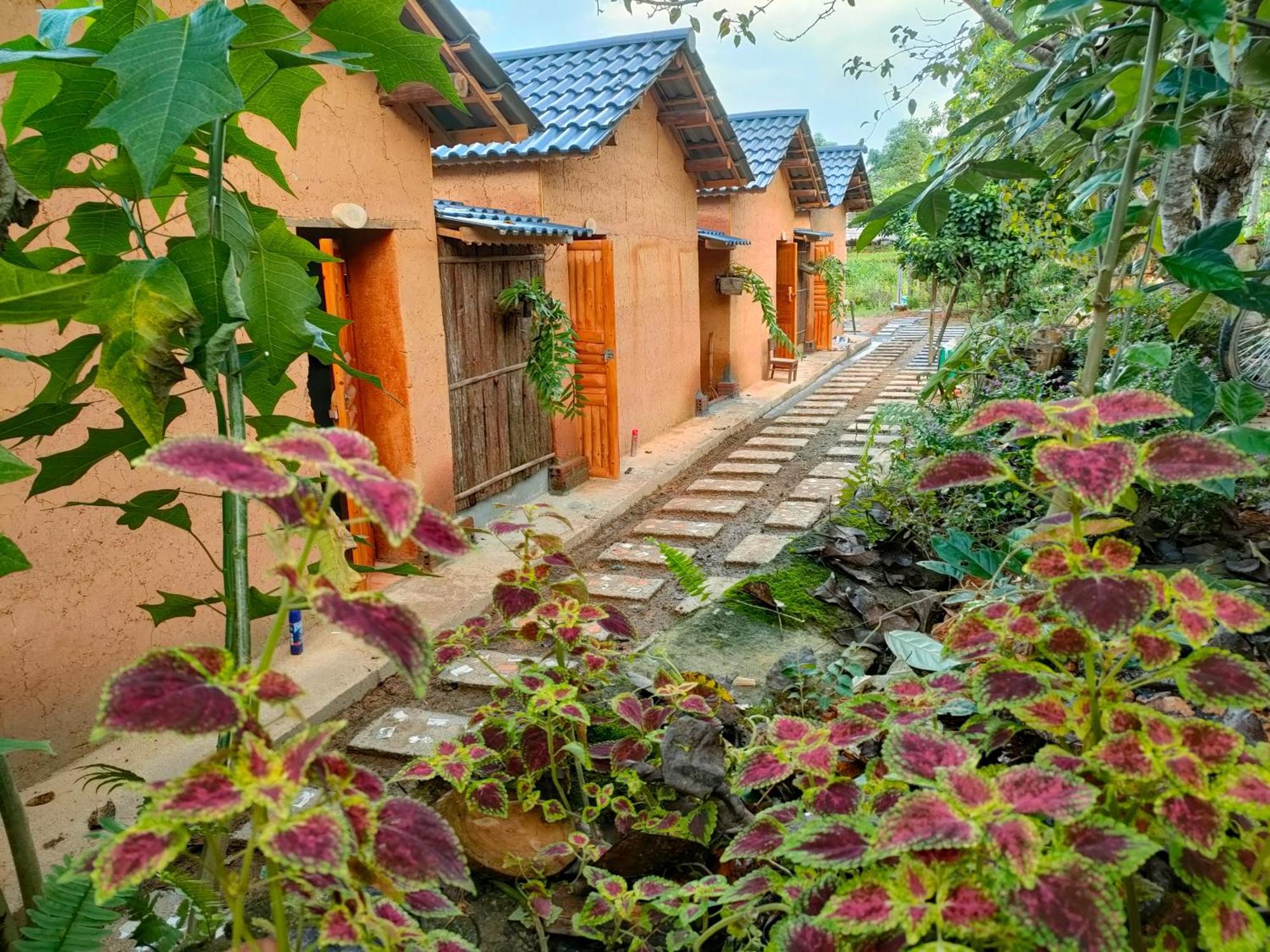Ly Danh Homestay Quan Ba 部屋 写真